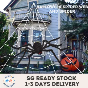 Halloween Decoration 5M Halloween Spider Web 1.5M Giant Spider cobweb Outdoor Indoor Home Party Decoration