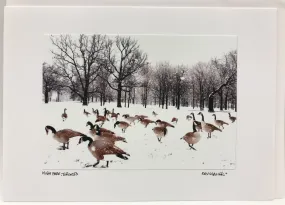 High Park in the Winter Cards by David Allen